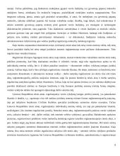 Meno politika ir reguliavimas 8 puslapis