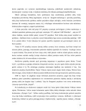 Investicijų į naujų nekilnojamojo turto produktus projekto ypatumai 13 puslapis