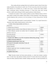 Investicijų į naujų nekilnojamojo turto produktus projekto ypatumai 16 puslapis