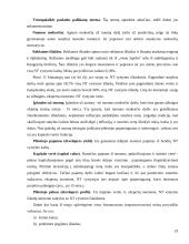 Investicijų į naujų nekilnojamojo turto produktus projekto ypatumai 19 puslapis