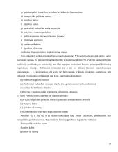 Investicijų į naujų nekilnojamojo turto produktus projekto ypatumai 20 puslapis