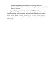 Investicijų į naujų nekilnojamojo turto produktus projekto ypatumai 3 puslapis