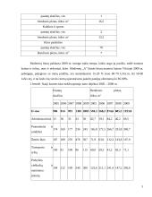 Investicijų į naujų nekilnojamojo turto produktus projekto ypatumai 5 puslapis