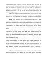 Investicijų į naujų nekilnojamojo turto produktus projekto ypatumai 9 puslapis