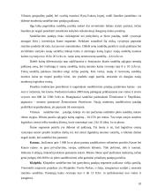 Investicijų į naujų nekilnojamojo turto produktus projekto ypatumai 10 puslapis