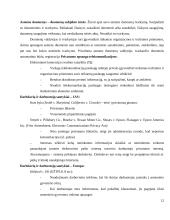 Neteisėtas informacijos apie privatų asmens gyvenimą rinkimas 12 puslapis