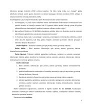 Neteisėtas informacijos apie privatų asmens gyvenimą rinkimas 4 puslapis