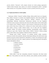 Organizacijos klimato formavimas "Senatoriai" viešbutyje 18 puslapis