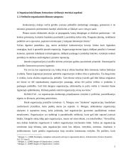 Organizacijos klimato formavimas "Senatoriai" viešbutyje 5 puslapis