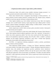 Organizacijos kultūra pagal G. Morgan 3 puslapis