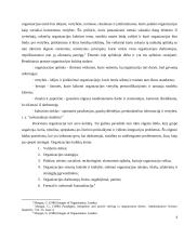 Organizacijos kultūra pagal G. Morgan 4 puslapis