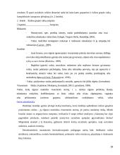 Ikimokyklinių įstaigų vaikų socializacija 19 puslapis