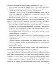 Ikimokyklinių įstaigų vaikų socializacija 5 puslapis