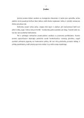 Paskirstymo efektyvumo kriterijai AB Vilniaus pergalė 2 puslapis