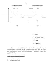 Paskirstymo efektyvumo kriterijai AB Vilniaus pergalė 13 puslapis