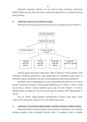 Paskirstymo efektyvumo kriterijai AB Vilniaus pergalė 14 puslapis