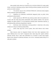 Paskirstymo efektyvumo kriterijai AB Vilniaus pergalė 16 puslapis