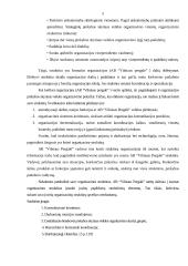 Paskirstymo efektyvumo kriterijai AB Vilniaus pergalė 5 puslapis