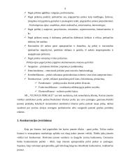 Paskirstymo efektyvumo kriterijai AB Vilniaus pergalė 9 puslapis