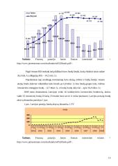 Pensijų fondų įtaka finansų rinkoms 15 puslapis