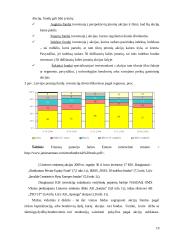 Pensijų fondų įtaka finansų rinkoms 19 puslapis