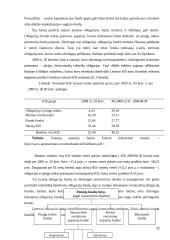 Pensijų fondų įtaka finansų rinkoms 20 puslapis