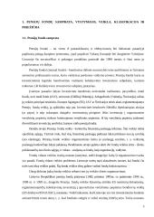 Pensijų fondų įtaka finansų rinkoms 3 puslapis