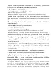 Socialinio pedagogo praktikos ataskaita mokykloje  14 puslapis