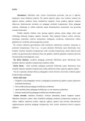 Socialinio pedagogo praktikos ataskaita mokykloje  3 puslapis