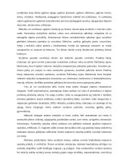 Socialinio pedagogo praktikos ataskaita mokykloje  5 puslapis