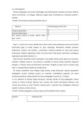 Socialinio pedagogo praktikos ataskaita mokykloje  10 puslapis