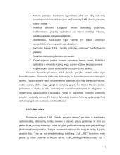 UAB “Senukų prekybos centras” praktikos ataskaita 11 puslapis