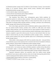 Socialdemokratų aplinkos apsaugos politikos lyginamoji analizė 20 puslapis