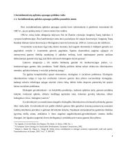 Socialdemokratų aplinkos apsaugos politikos lyginamoji analizė 4 puslapis