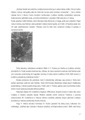 Stalino ir stalinizmo vertinimai šiandieninėje Rusijoje 17 puslapis