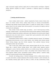 Švietimo finansavimas, jo būklė ir tolesnės tendencijos 11 puslapis