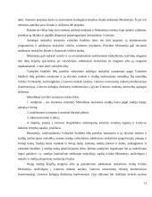 Švietimo finansavimas, jo būklė ir tolesnės tendencijos 13 puslapis