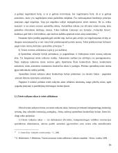 Teisės aiškinimas kaip teisės taikymo sąlyga 15 puslapis