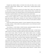 Teisės aiškinimas kaip teisės taikymo sąlyga 19 puslapis