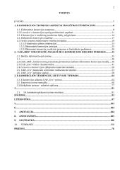 E-komercijos diegimas UAB „Iris“ 2 puslapis