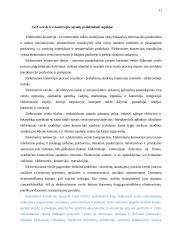 E-komercijos diegimas UAB „Iris“ 11 puslapis