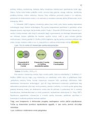 E-komercijos diegimas UAB „Iris“ 12 puslapis