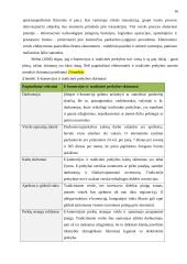 E-komercijos diegimas UAB „Iris“ 16 puslapis