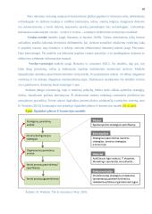 E-komercijos diegimas UAB „Iris“ 18 puslapis