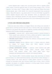 E-komercijos diegimas UAB „Iris“ 19 puslapis