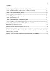 E-komercijos diegimas UAB „Iris“ 3 puslapis