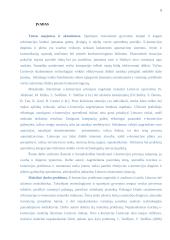 E-komercijos diegimas UAB „Iris“ 5 puslapis