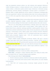 E-komercijos diegimas UAB „Iris“ 6 puslapis