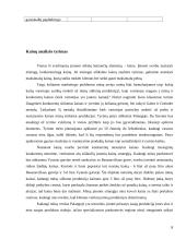 UAB „Tradicinis alus“ marketingo tyrimai 8 puslapis