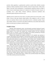 UAB „Tradicinis alus“ marketingo tyrimai 10 puslapis